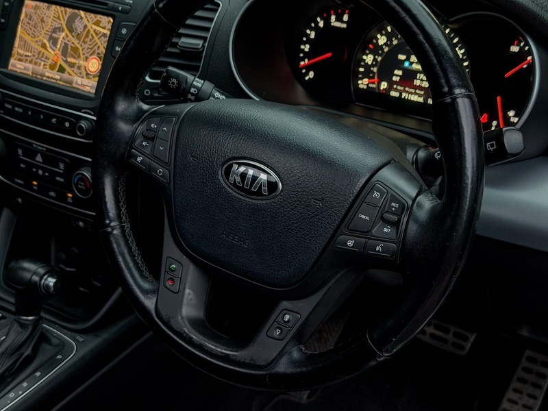 Kia Sorento  Brown #44