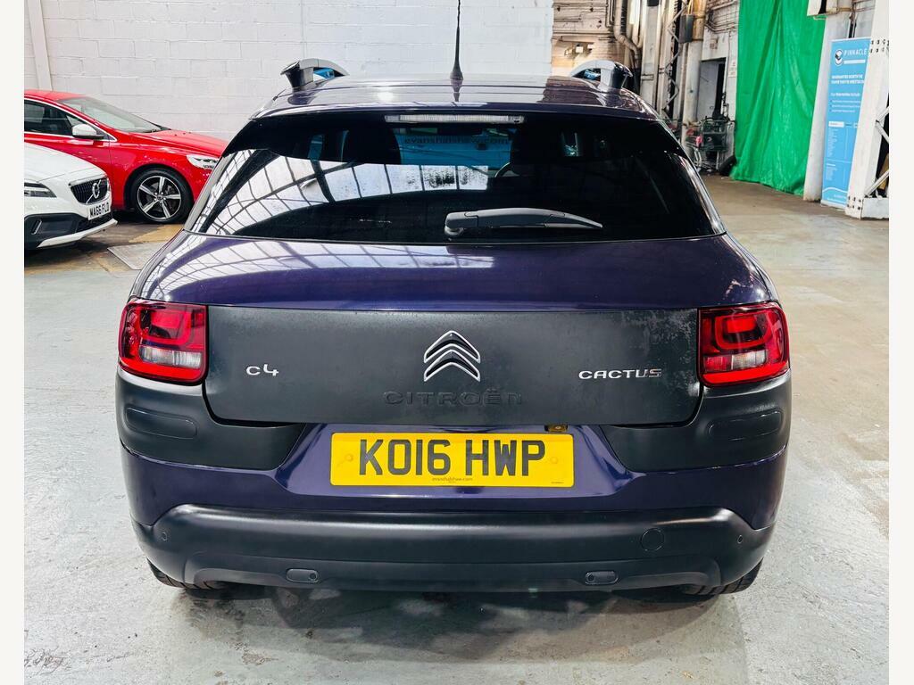 Citroen C4 Cactus 1.6 Bluehdi Flair Etg6 Euro 6 S S Purple #5