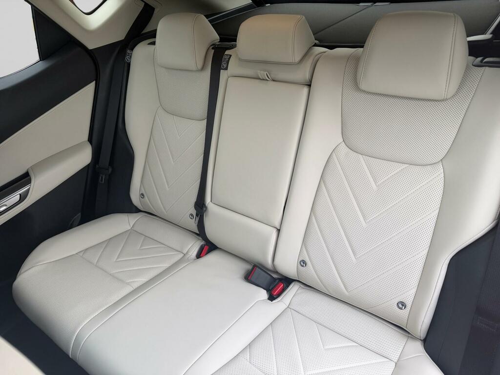 Lexus NX 350H 197 Premium Plus E-cvt  #20