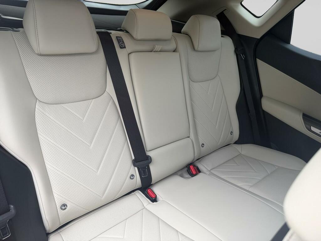 Lexus NX 350H 197 Premium Plus E-cvt  #23