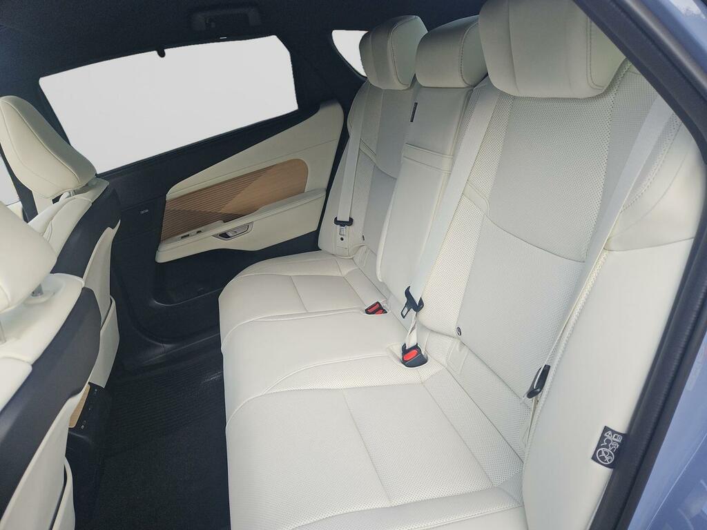 Lexus ES 300H 2.5 Premium Plus Cvt Red #13