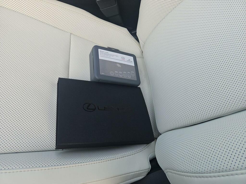 Lexus ES 300H 2.5 Premium Plus Cvt Red #28
