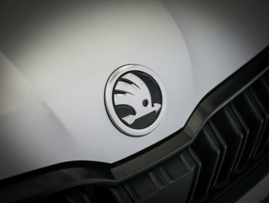 Skoda Kamiq Se Black #10