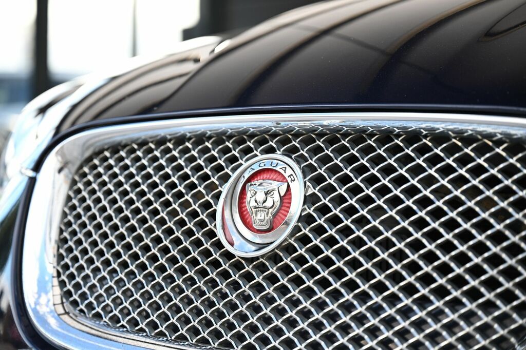 Jaguar XF  White #58