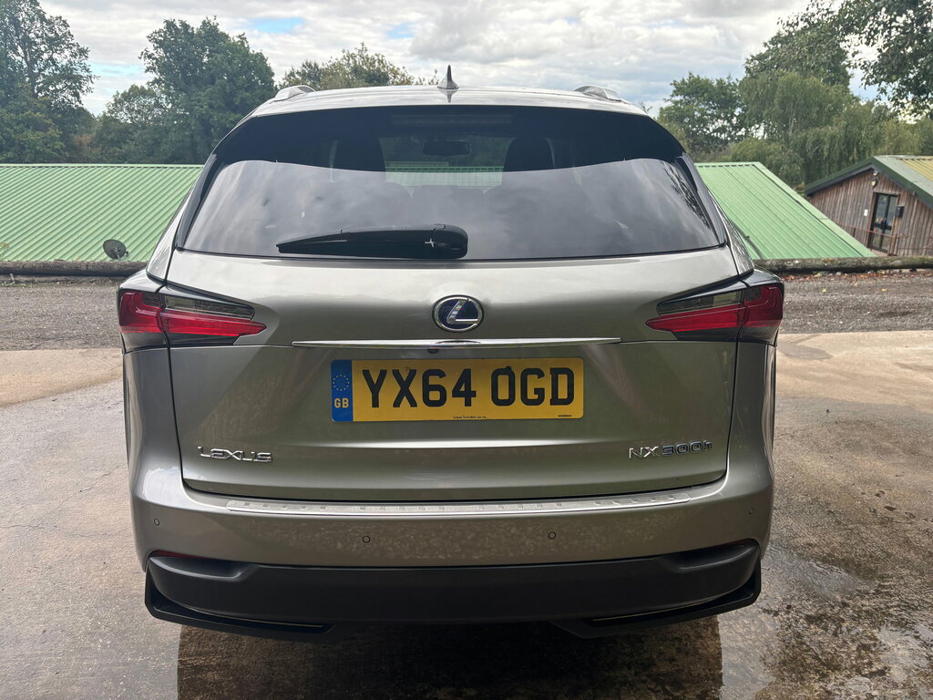Lexus NX 2.5 300H Luxury Suv Hybrid E-cvt 4Wd Eu Silver #6