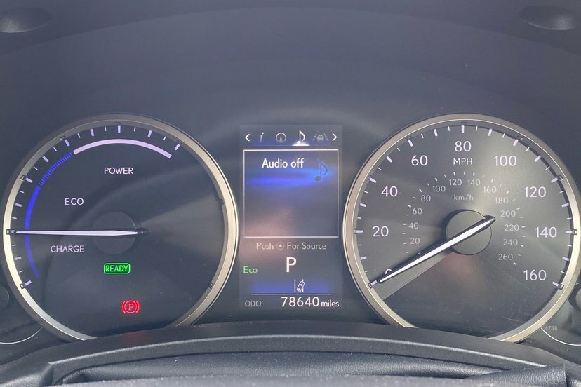 Lexus NX Luxury Black #23