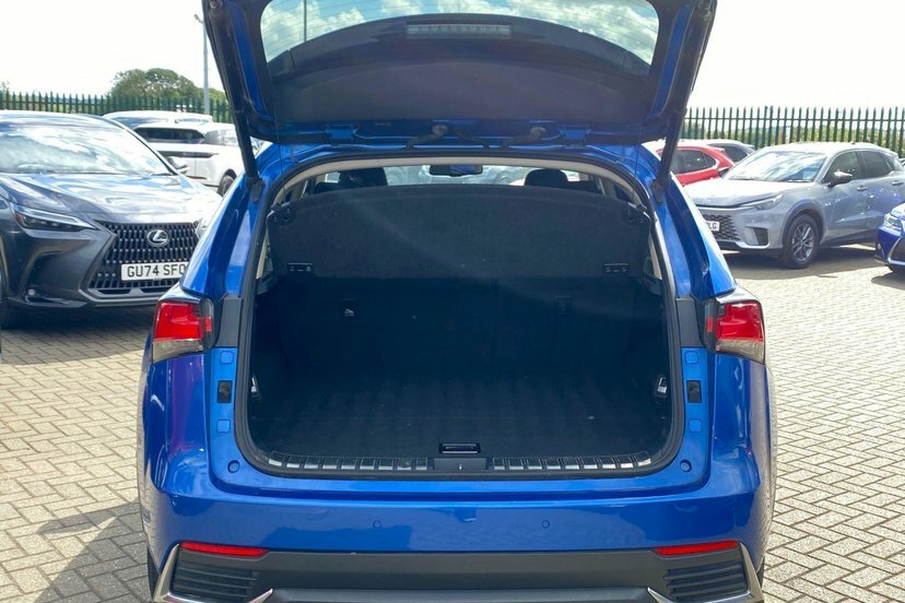 Lexus NX Luxury Black #9