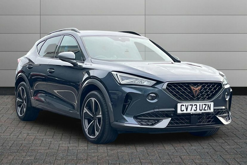 Cupra Formentor 2.0 Tsi Vz2 Suv Dsg 245 Ps Grey