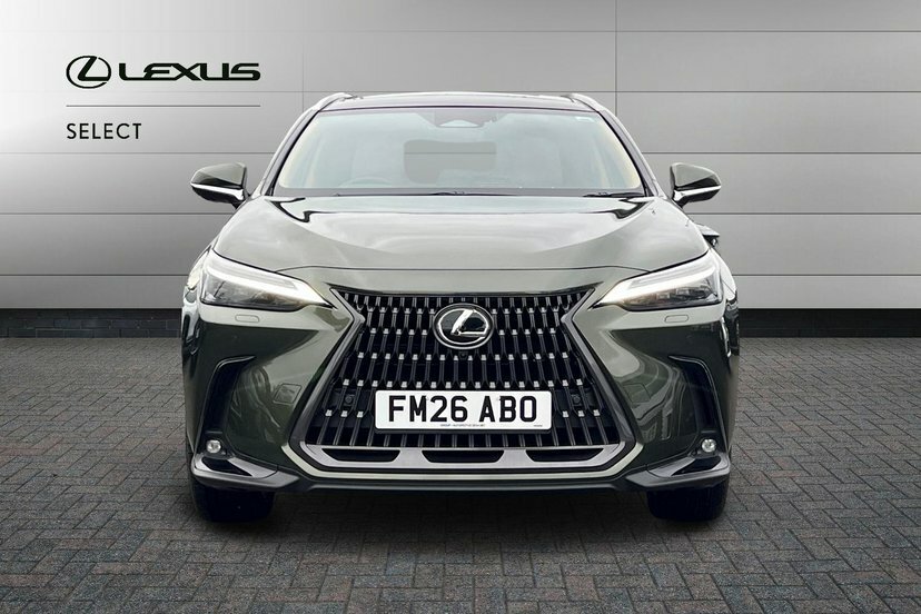 Lexus NX 2.5 350H Premium Plus E-cvt 4Wd Euro 6 Ss Red #7