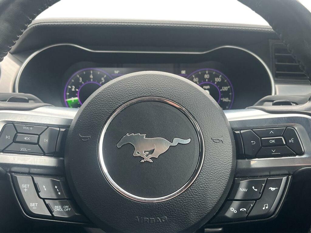 Ford Mustang 5.0 V8 449 Gt Grey #13