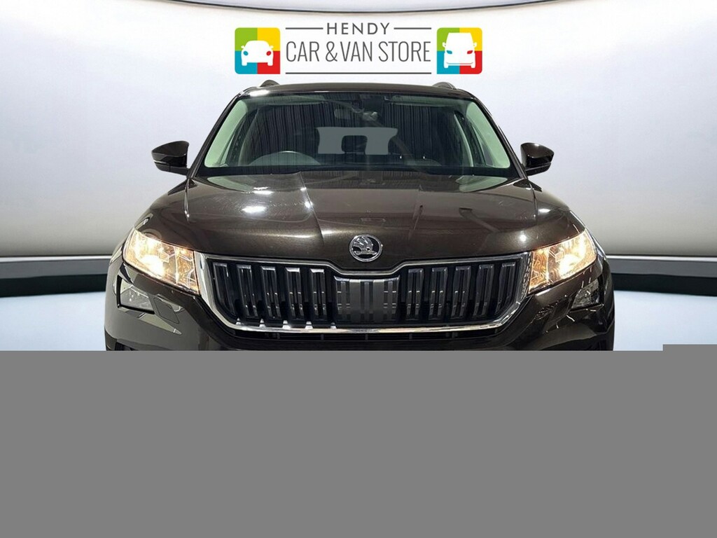 Skoda Kodiaq 2.0 Tdi Se Dsg Brown #6