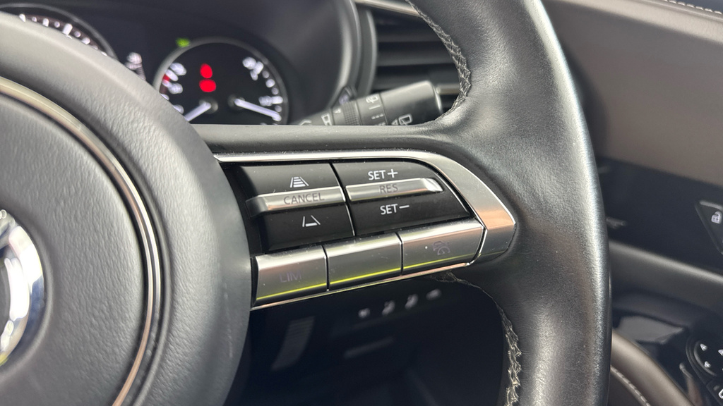 Mazda CX-30 Se-l Grey #26