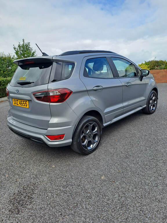Ford Ecosport 1.0 Ecoboost 125 St-line Silver #2