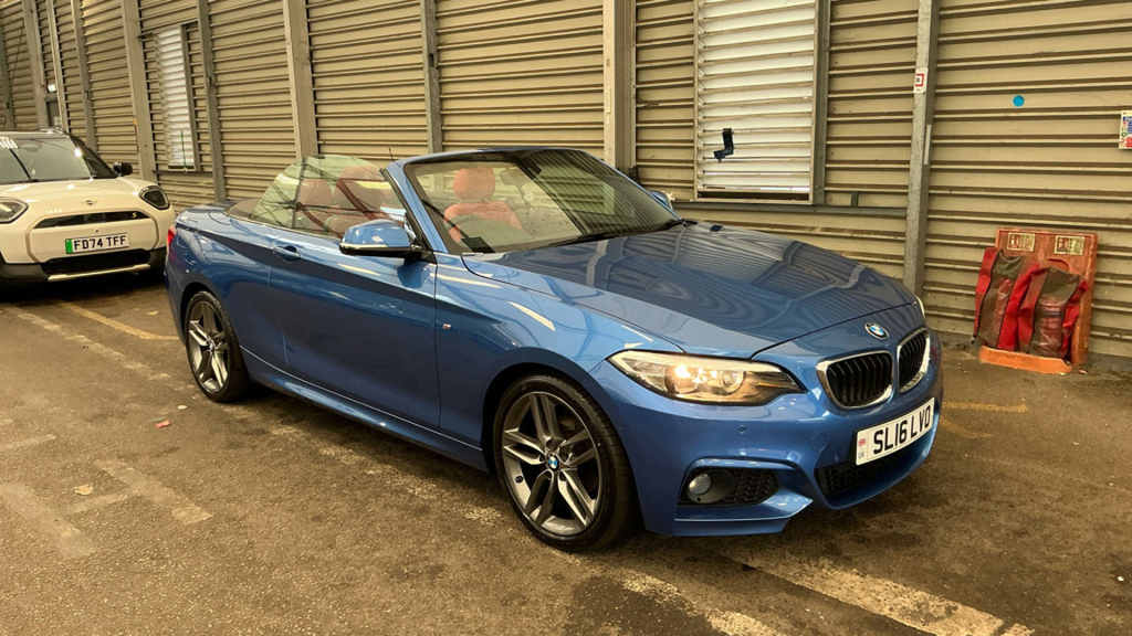 BMW 2 Series 218I Luxury Step White #14