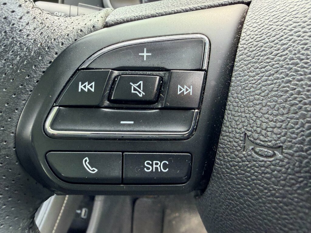 MG ZS Zs Exclusive Ev Black #50