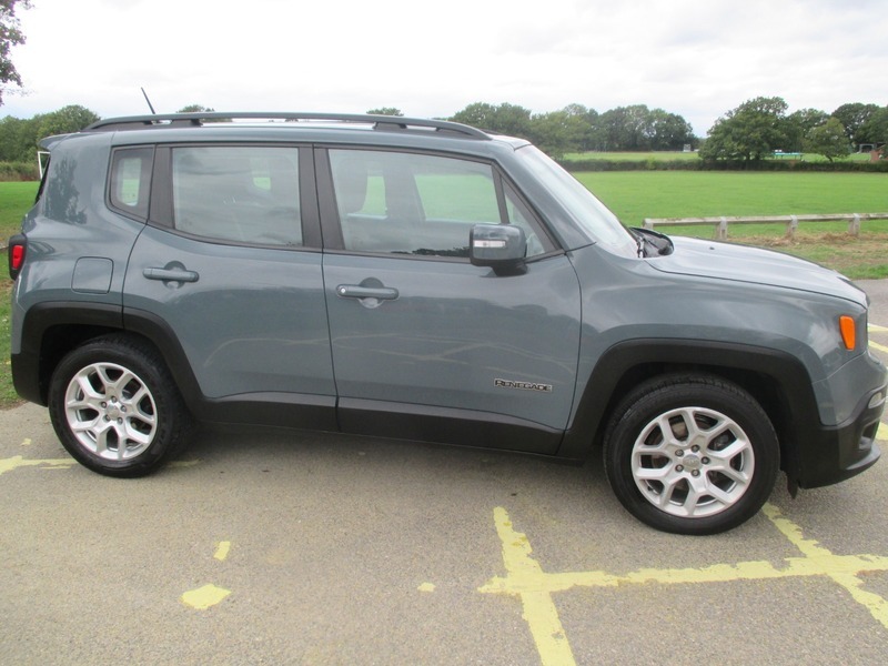 Jeep Renegade Longitude Grey #6