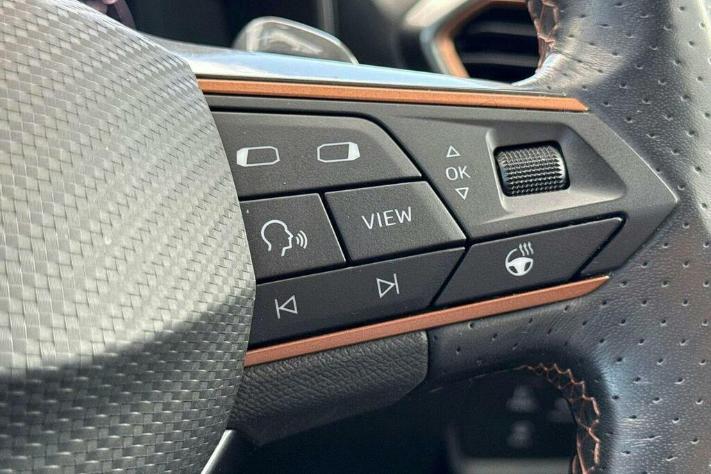 Cupra Formentor V2 Grey #18