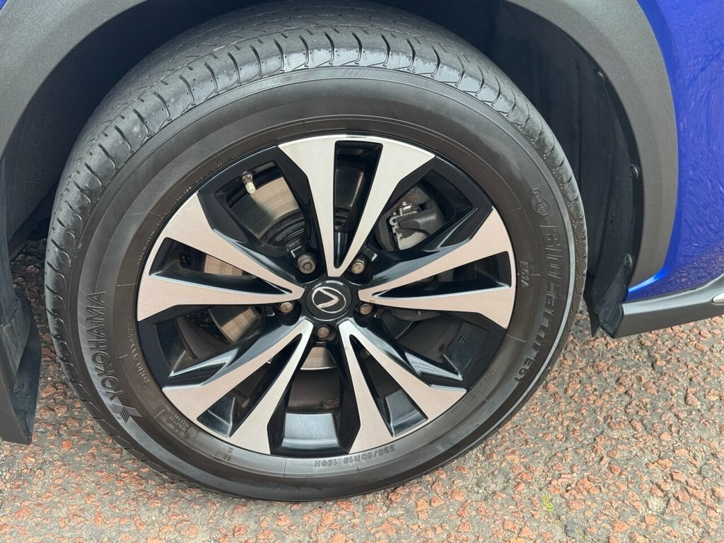 Lexus NX 2L F Sport Blue #6