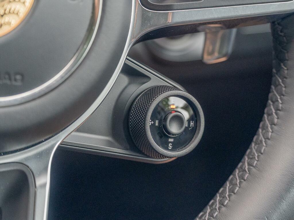 Porsche Cayenne E-hybrid Platinum Edition Tiptronic S #29
