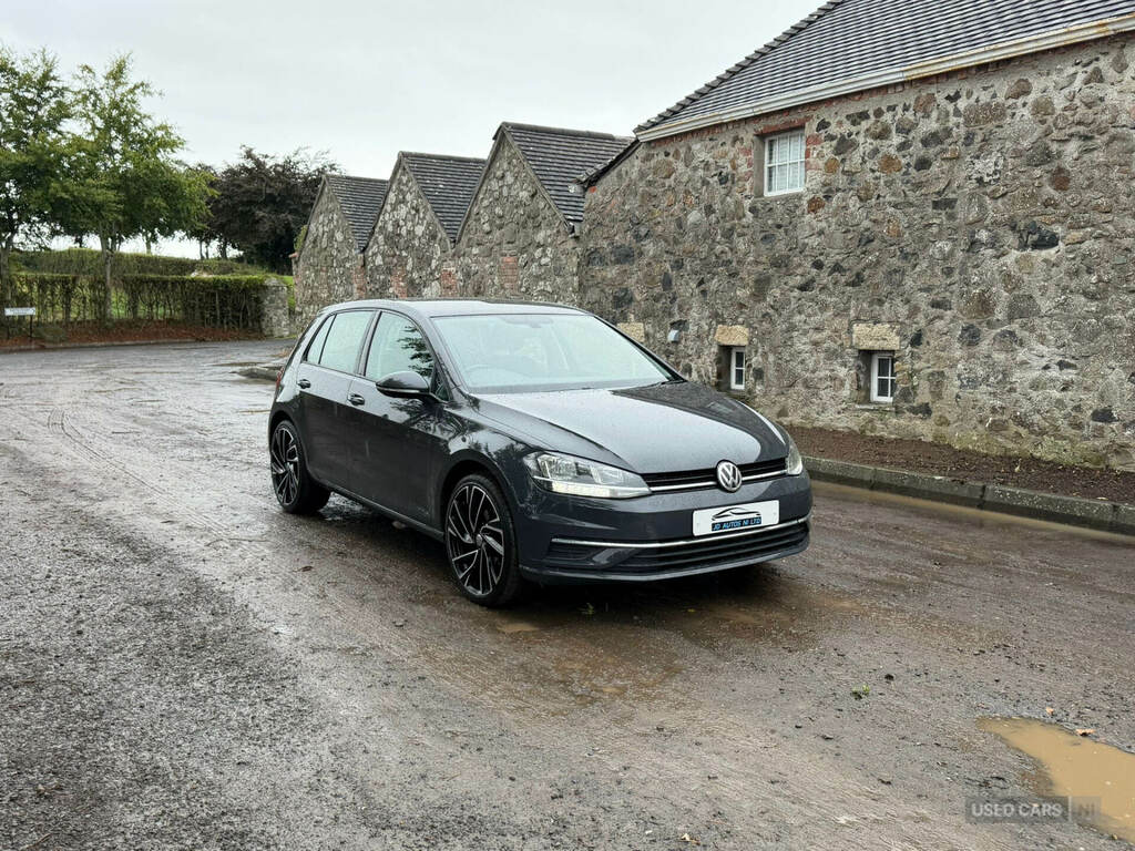 Volkswagen Golf 1.6 Tdi Se Nav Grey