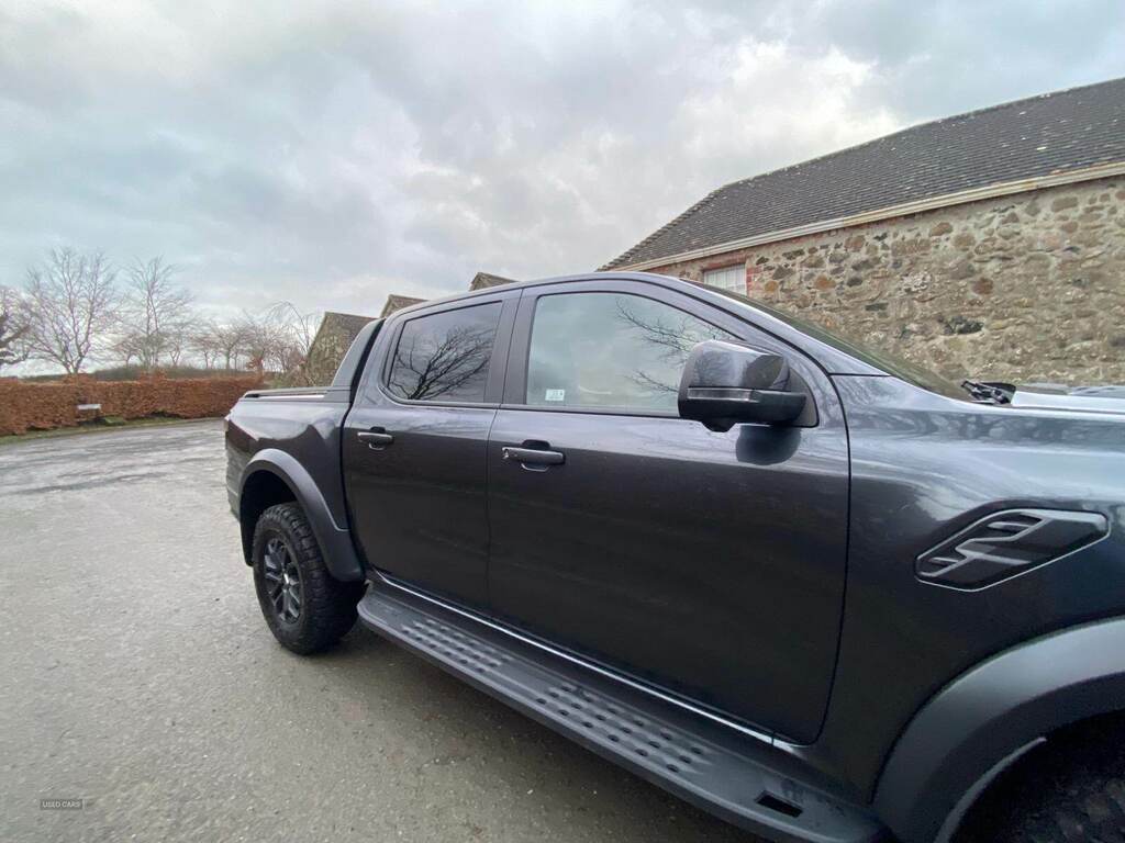 Ford Ranger Ranger Stormtrak Double Cab 2.0L Ecoblue  #13