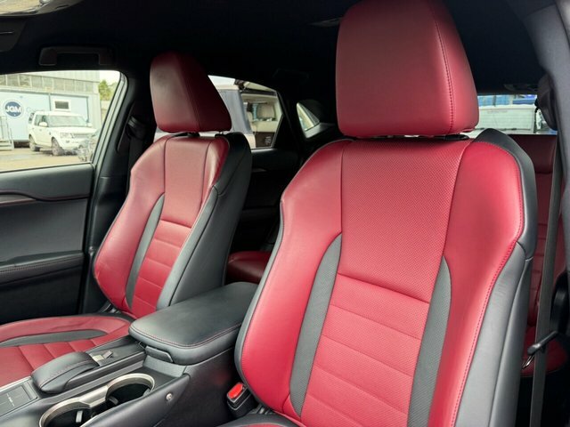 Lexus NX Premier Grey #8