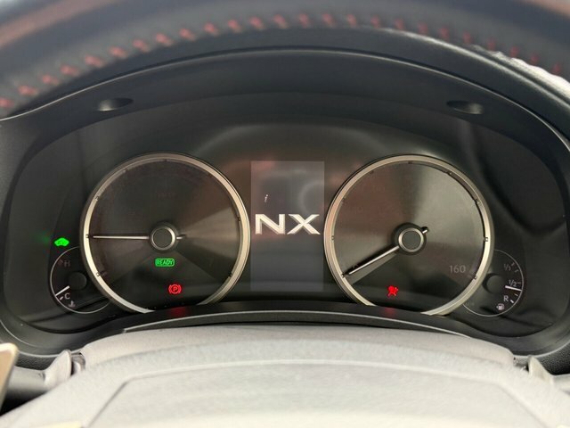 Lexus NX Premier Grey #13