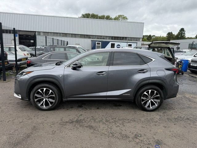 Lexus NX Premier Grey #12
