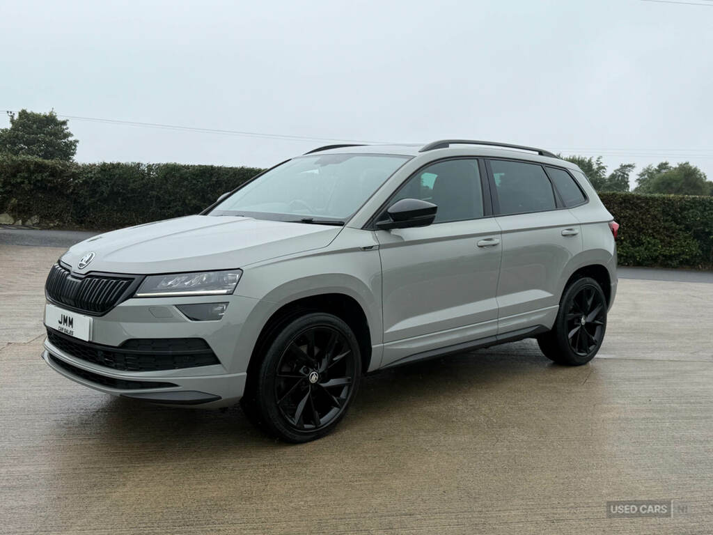 Skoda Karoq 2.0 Tdi Sport Line 4X4 Grey #6