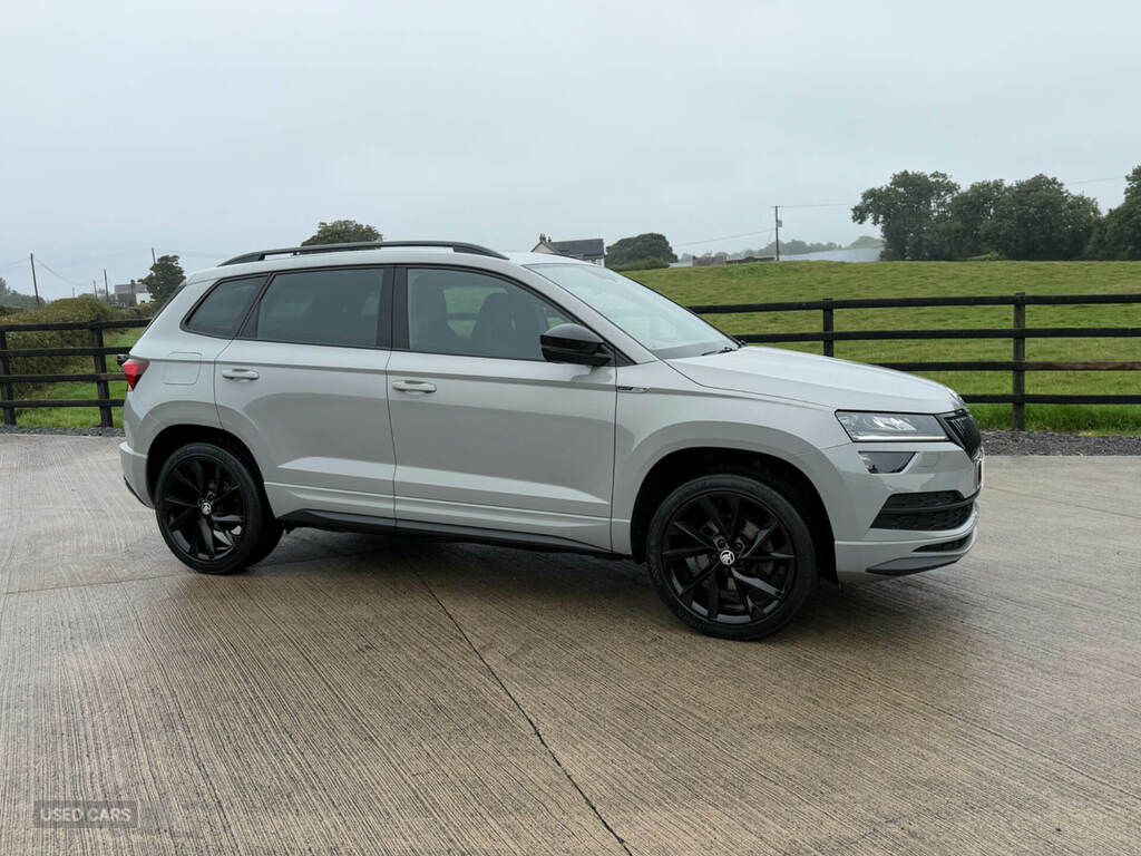 Skoda Karoq 2.0 Tdi Sport Line 4X4 Grey #2