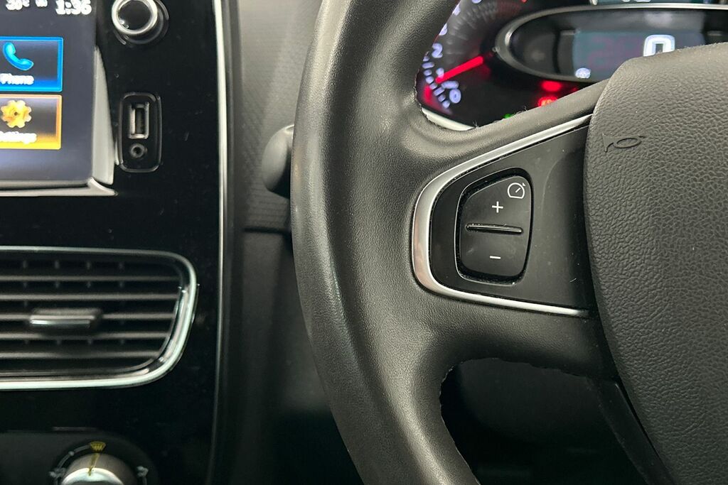 Renault Clio Play Dci Grey #14