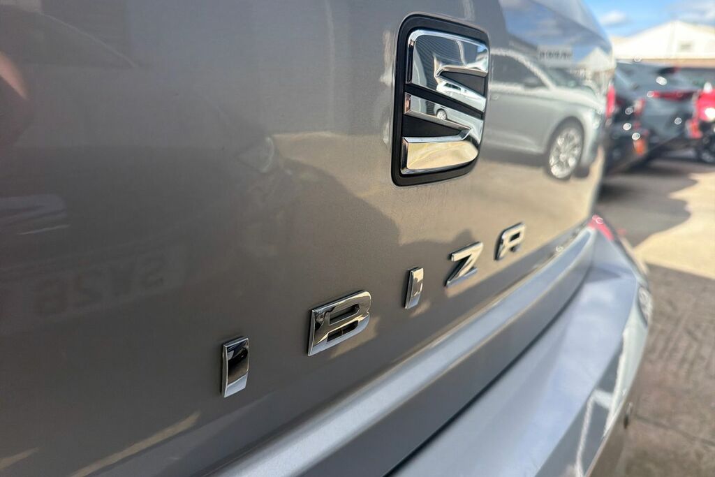 Seat Ibiza Fr Grey #20