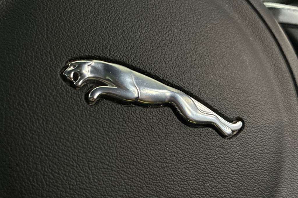Jaguar F-Pace 5.0 Supercharged V8 Svr Awd Grey #31