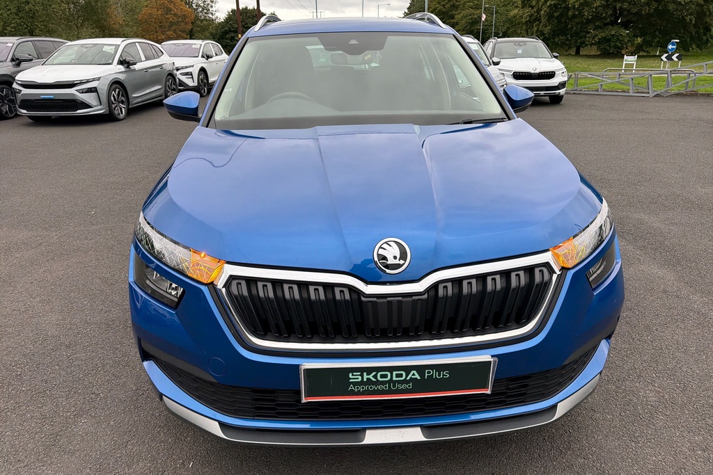 Skoda Kamiq Tsi Se Silver #35