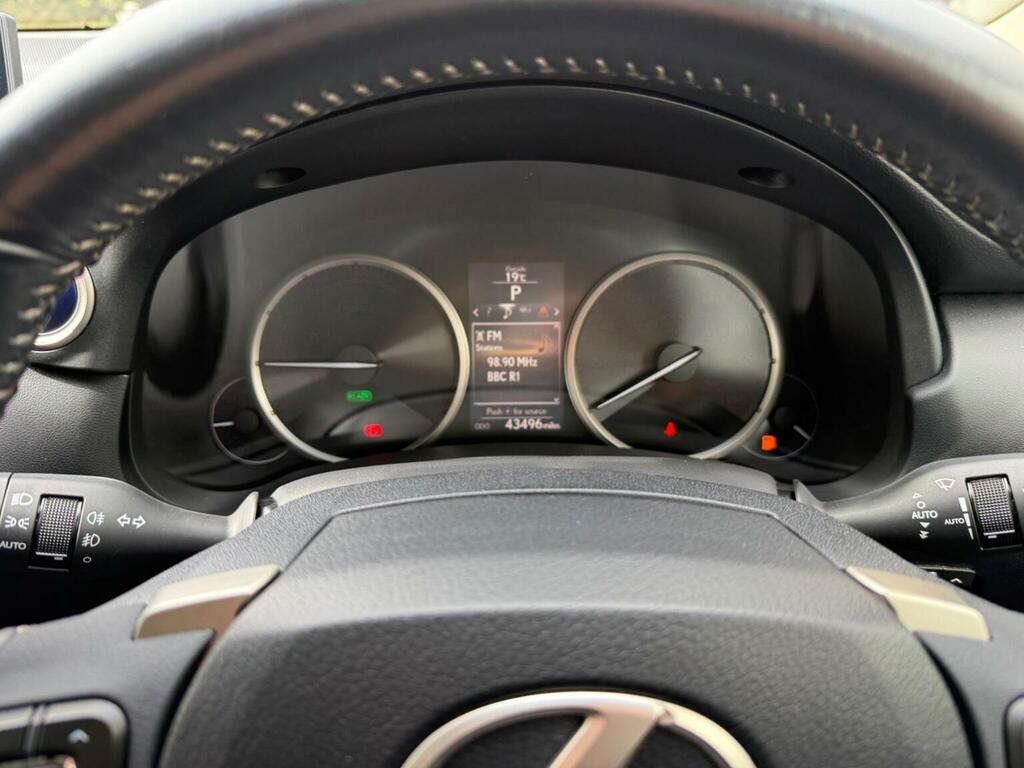 Lexus NX 300H Luxury Grey #7