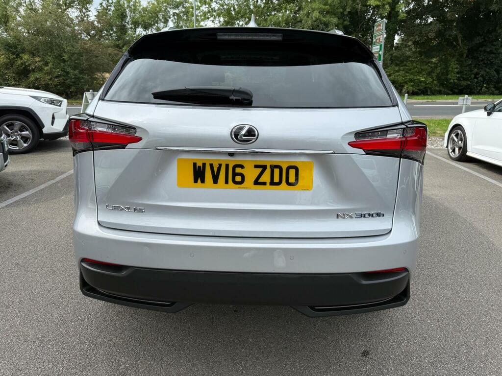 Lexus NX 300H Luxury Grey #19
