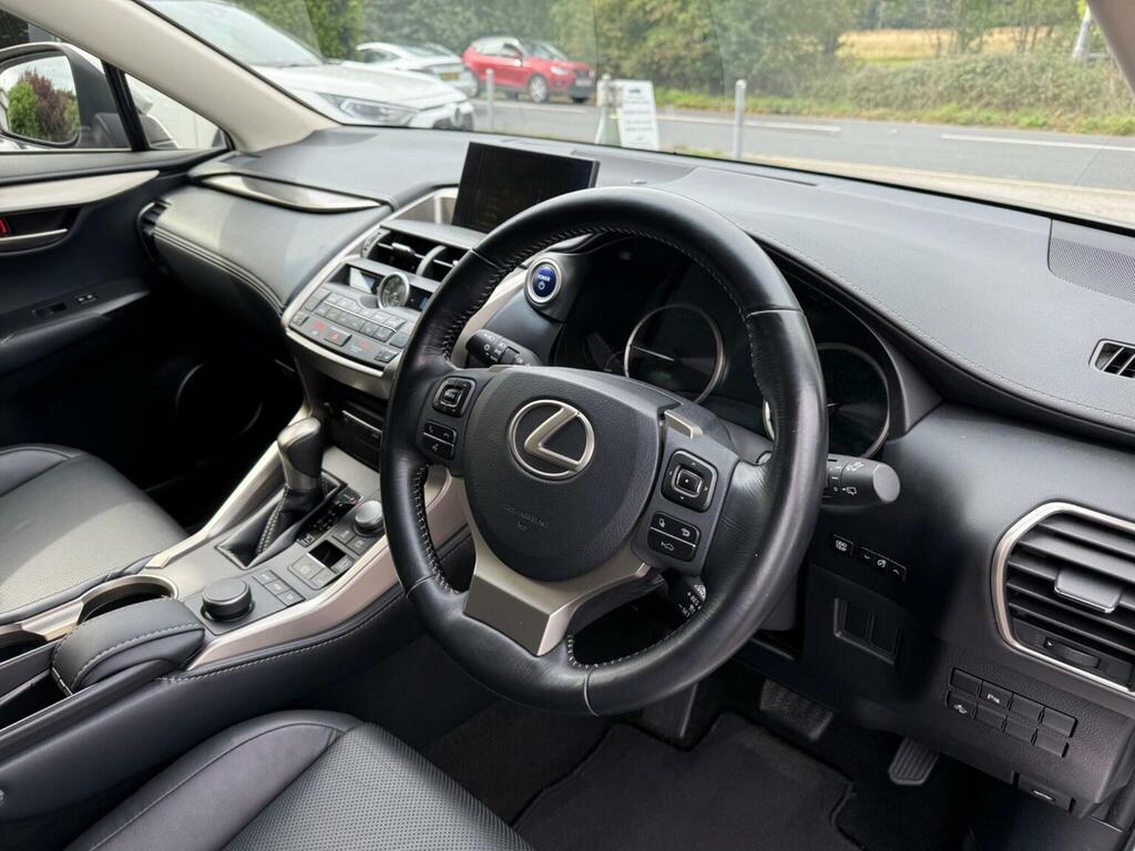 Lexus NX 300H Luxury Grey #10