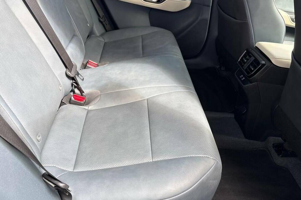 Lexus RZ 450E Premium Plus Black #14