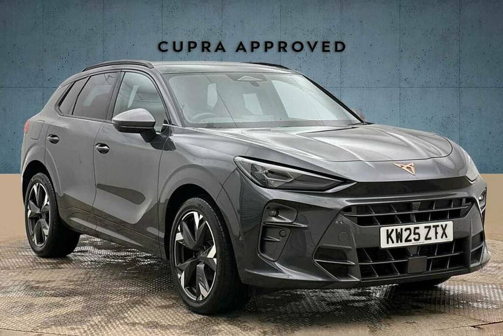 Cupra Terramar 1.5 Etsi 150 V2 Dsg Grey