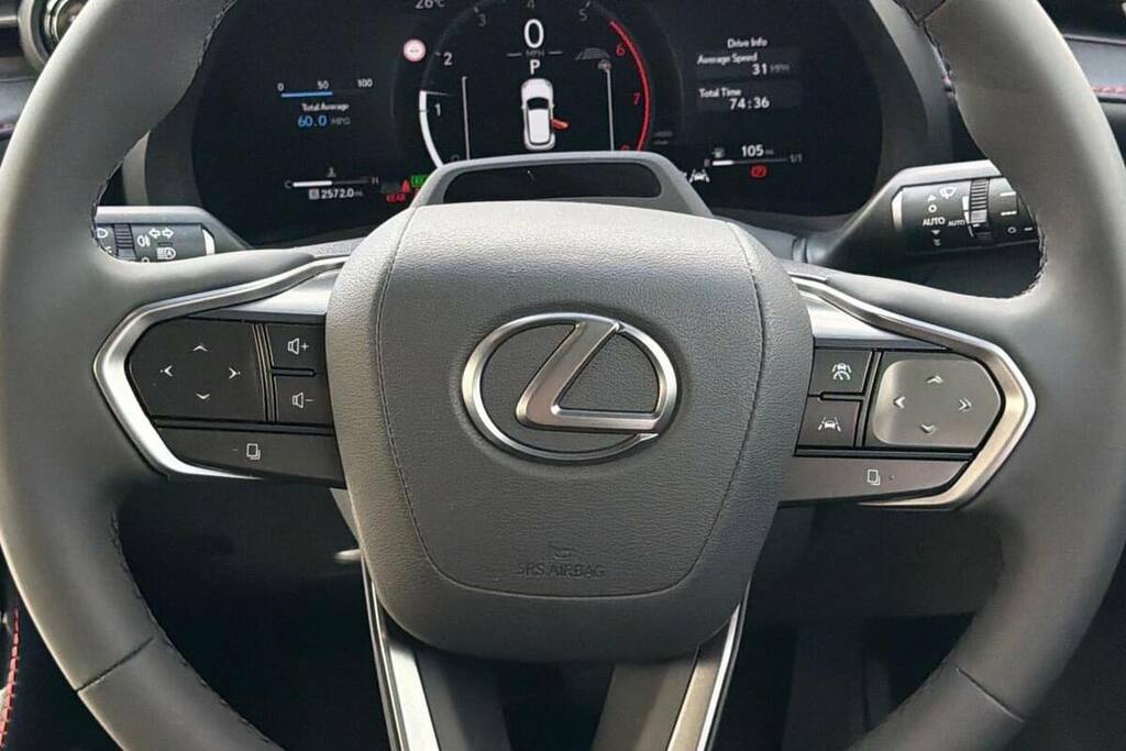 Lexus LBX Vibrant Edition Bi-tone Black #10