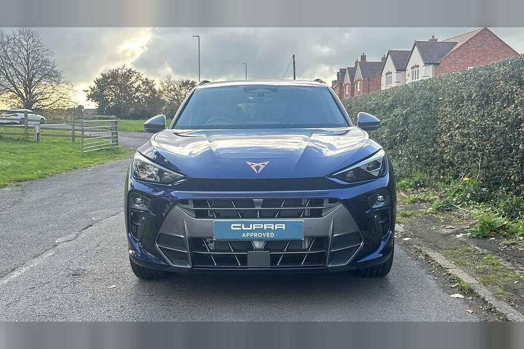 Cupra Terramar 2.0 Tsi Vz1 Dsg 4Drive Euro 6 Ss Blue #11