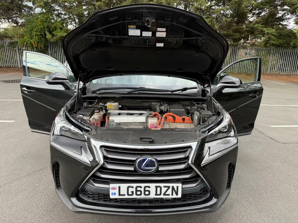 Lexus NX 2.5 300H Luxury E-cvt 4Wd Euro 6 Ss Grey #22