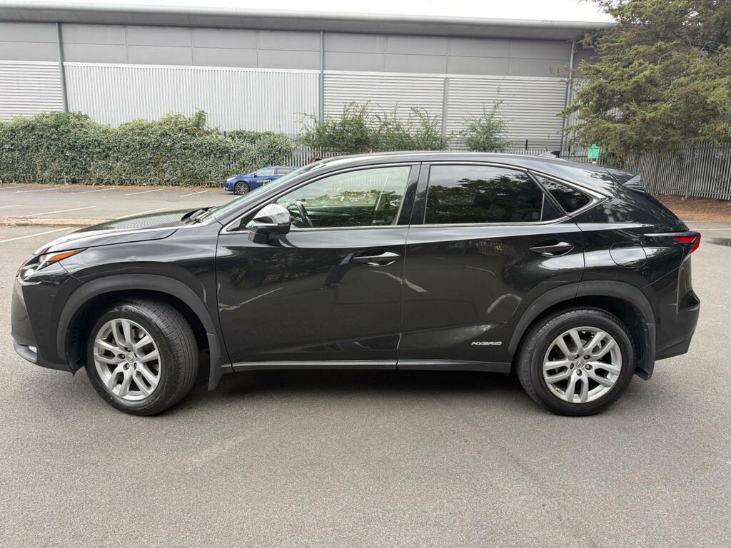Lexus NX 2.5 300H Luxury E-cvt 4Wd Euro 6 Ss Grey #5