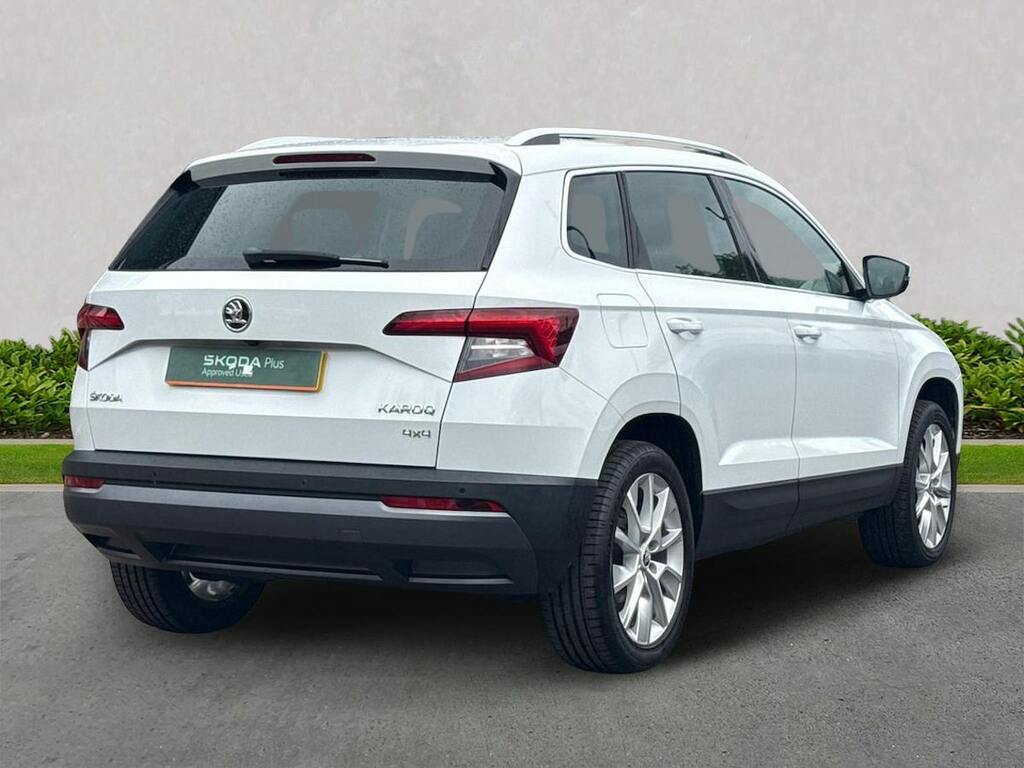 Skoda Karoq Edition Green #18
