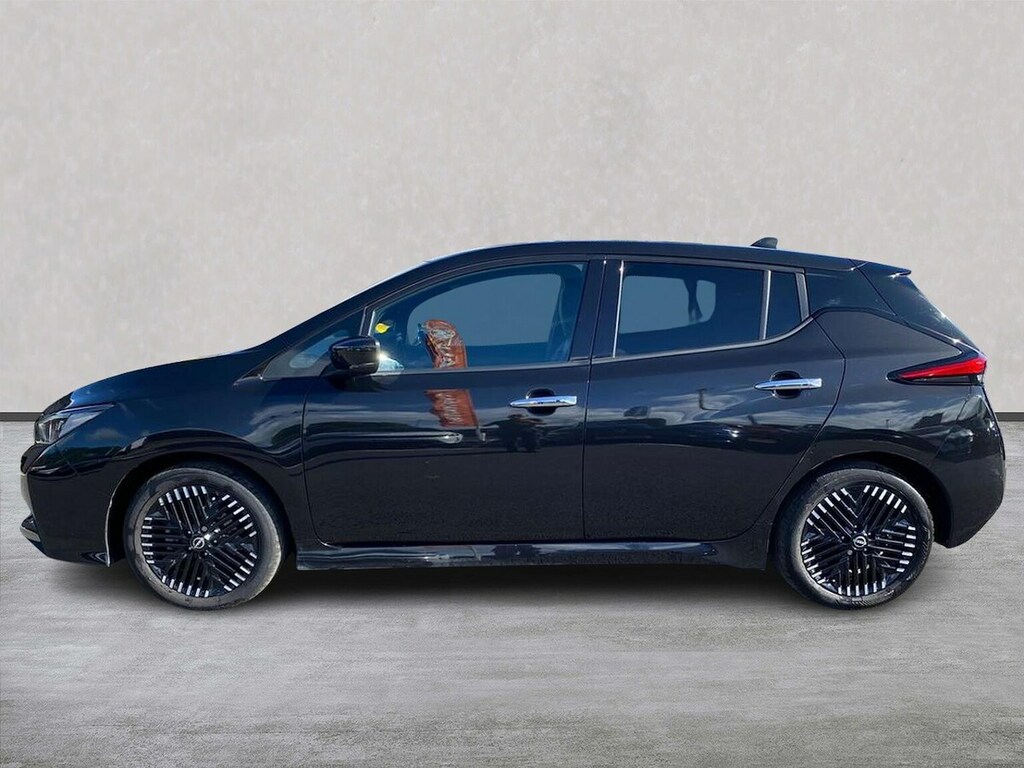 Nissan Leaf Leaf Takna White #19