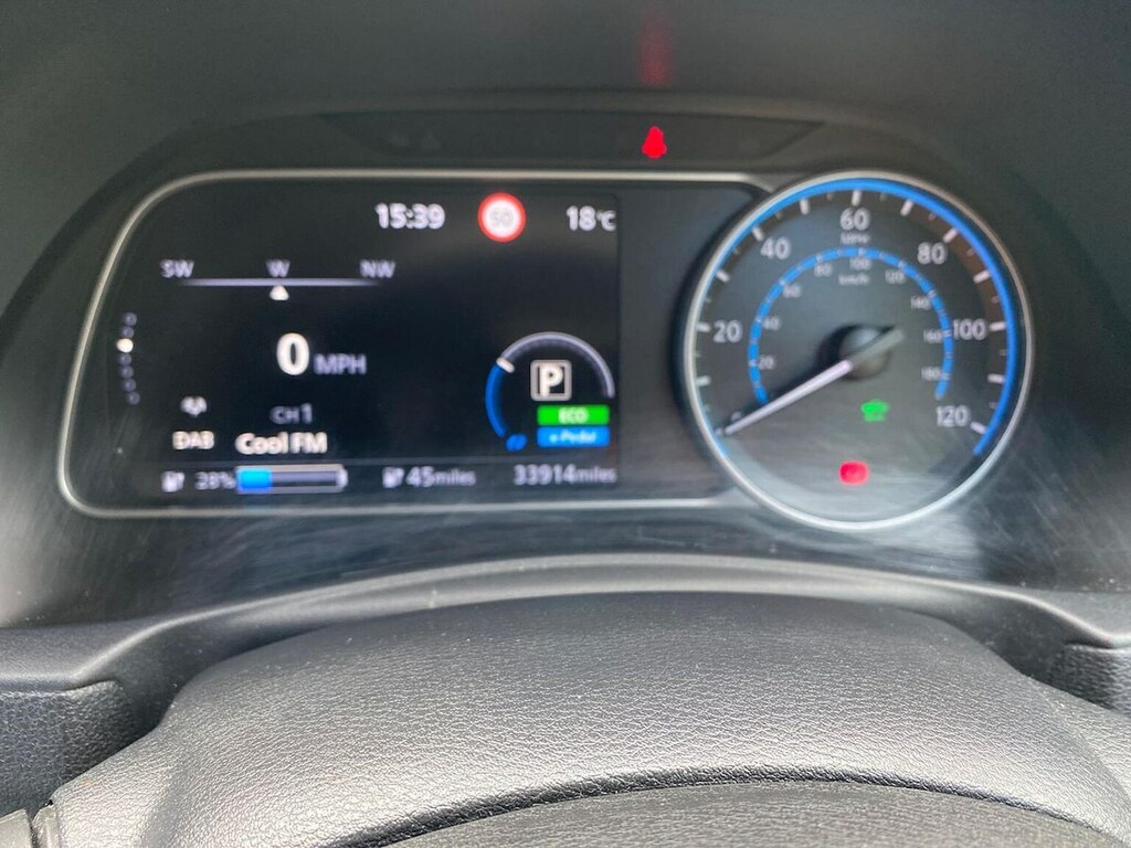 Nissan Leaf Leaf Takna White #10