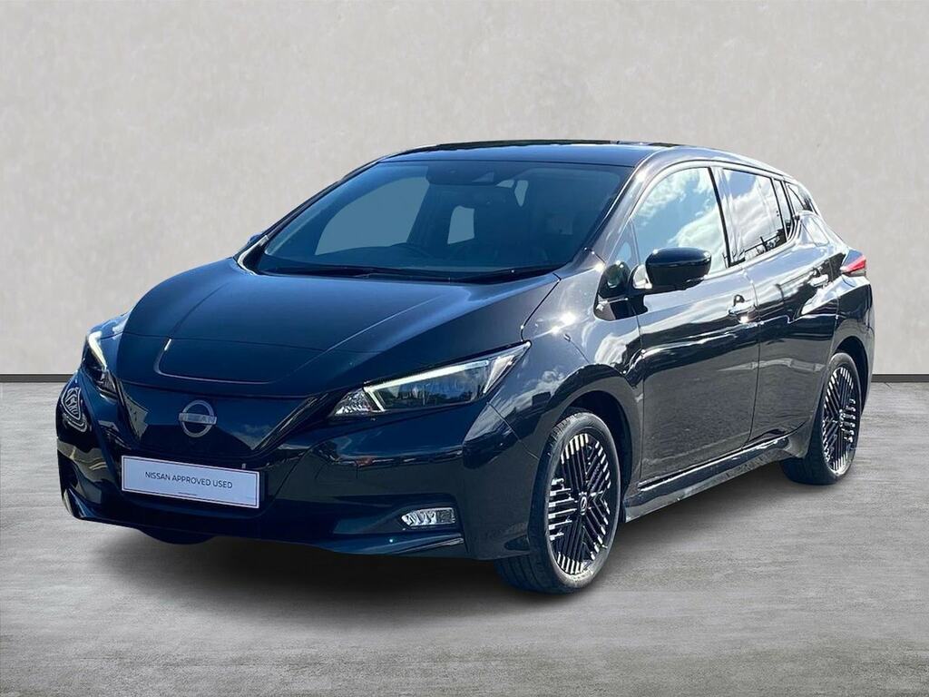 Nissan Leaf Leaf Takna White #20
