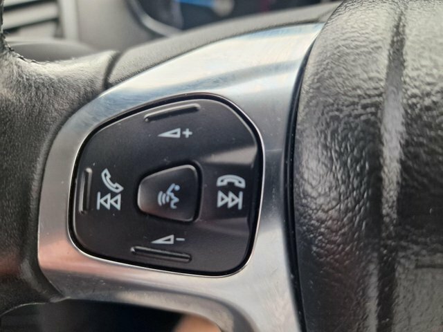 Ford Ecosport Titanium Grey #25