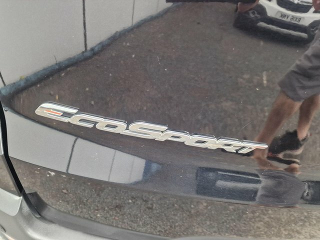 Ford Ecosport Titanium Grey #27