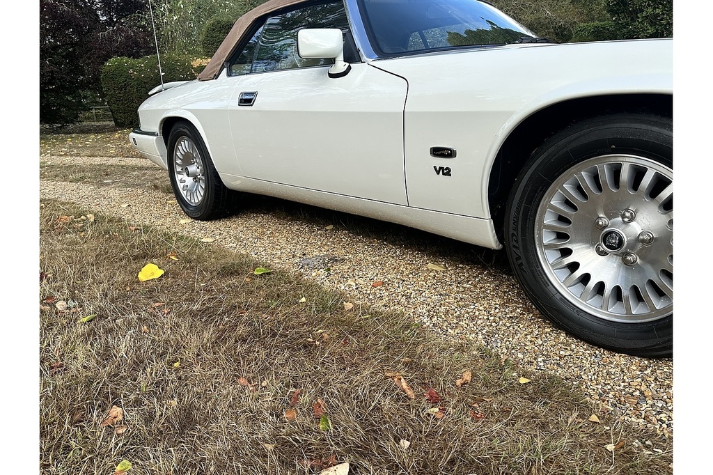 Jaguar XJS 4.0 Celebration Limited Edition  #8